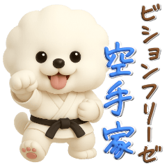 ビションフリーゼ♪空手家、立体