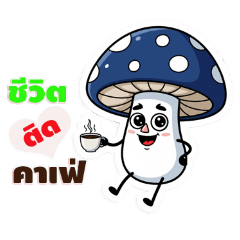 Takja_20250812140443