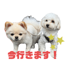 sumire_20250812212722