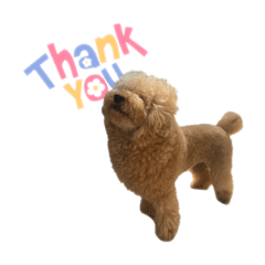 shiho_20250812200922