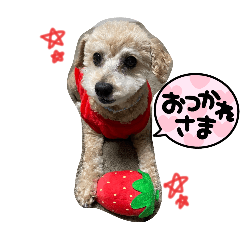 minagon_purin
