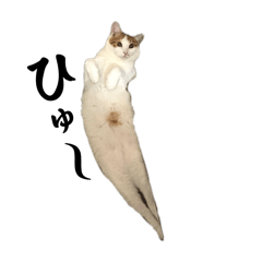 Chikuwa_20250812230614