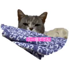 yurika_20250812222044