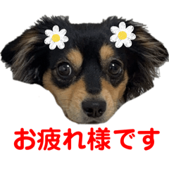 hannah_20250812221226