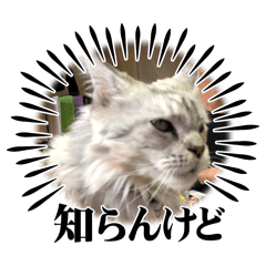 yumi_20250812181528