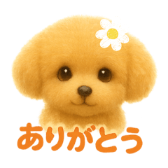 panda_20250813034421