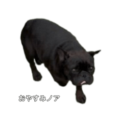 m_20250812004543