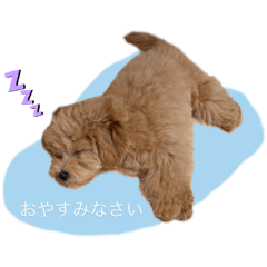katopino