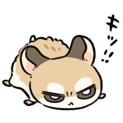 ロボロフくん