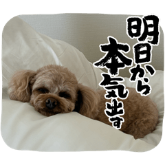 soregashi_20250812165816