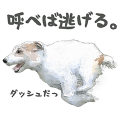 水彩画ジャックラッセルテリア（あるある）