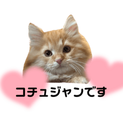 Shio_20250811233814