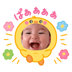 koko_20250812125632