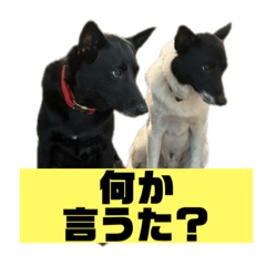 Makoto_20250812041151