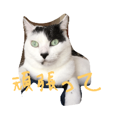 ★もんてのSTAMP3★ - LINE スタンプ | LINE STORE