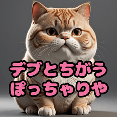 Chubby Cat Daily Chat Cute Cat Stickers