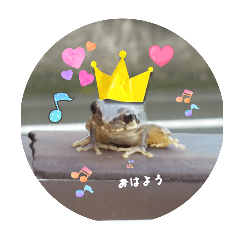 sugar_20250812141933