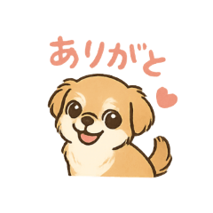 shiho_20250812193620