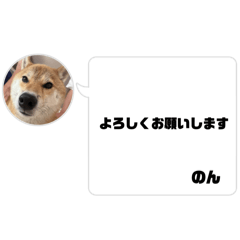 non_20250812211833