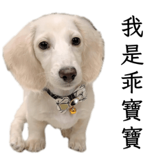 Bubu and linlin 的可愛日常