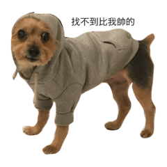 yocogoodboy