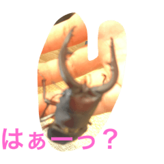 ASAHI_20250813111803