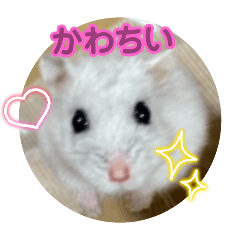 hikari_20250813111358