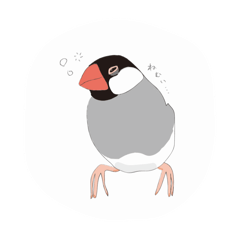 Japanese Java sparrows