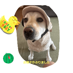 chichi_20250813061504