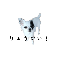 sachi_20250812134816