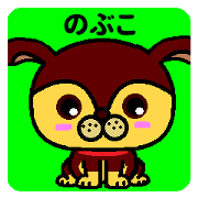 Nobuko dog