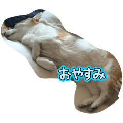 AYUMI_20250812153126