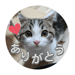 marina_20250812204648