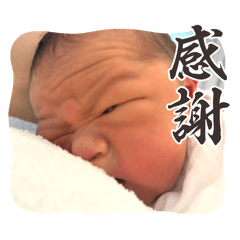 Mochi_20250812171945