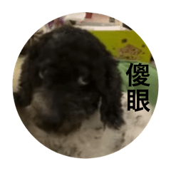 紀錄QQ的小表情