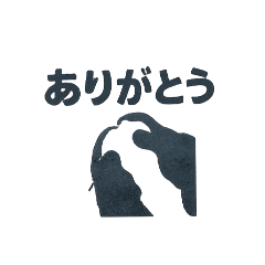 Mikan_20250812222953