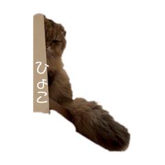 famitamatora_20250813094100