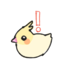 Aoimeとオカメインコ