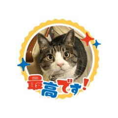 marina_20250813072332