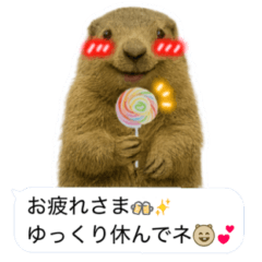 おっさんマーモットスタンプ