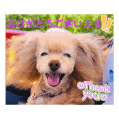 monanoa_20250813144020