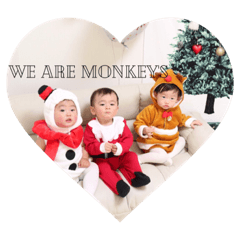 We are monkey's