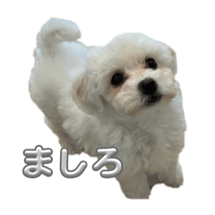 arisa_20250812222410