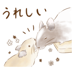 ほのぼのデグー日和