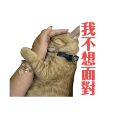 炭吉的日常生活