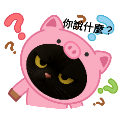 喵喵喵大集合二！！！