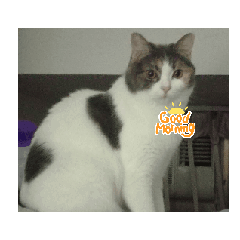 my sticker_20250813121418