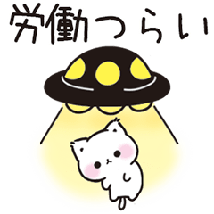 現実逃避するネガティブな子猫