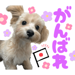 Monmon_20250811143740