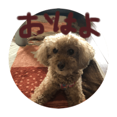 Karin_20250813114046